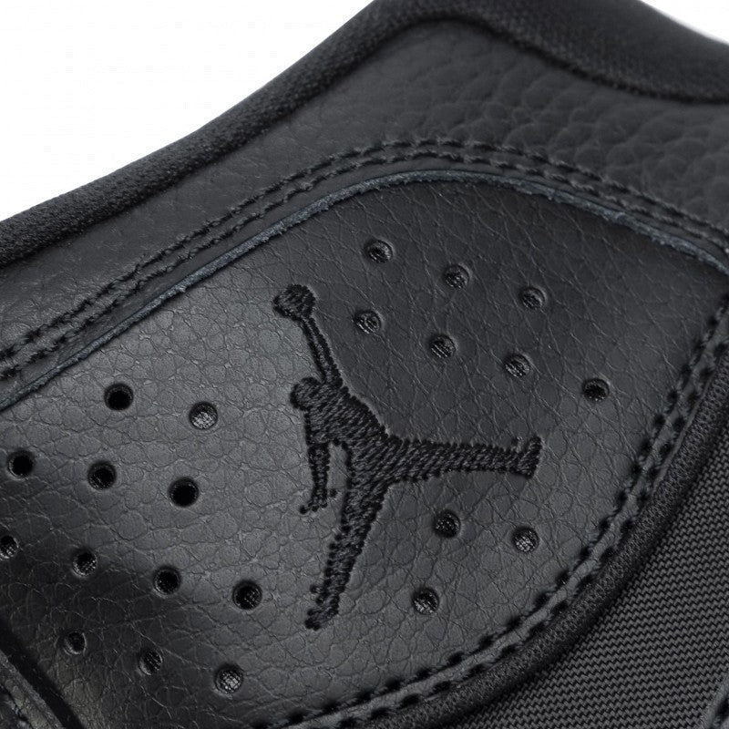 Air Jordan Access