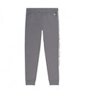 Champion Jogginghose Rib Cuff Jogger Grau